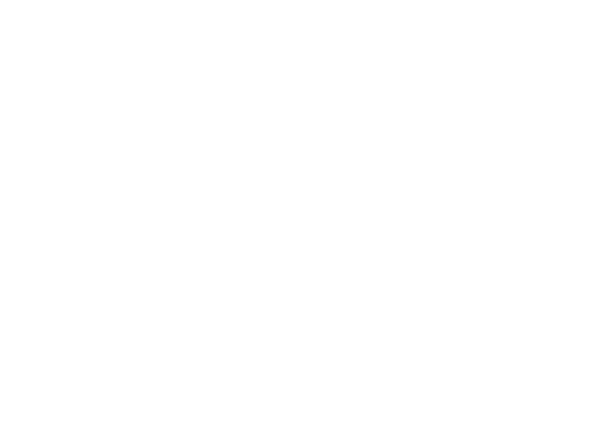 N'Arte Logo